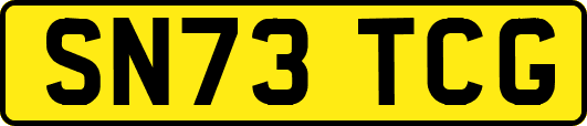 SN73TCG