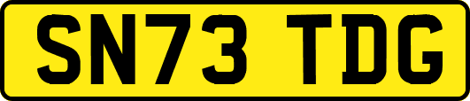 SN73TDG