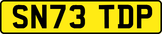 SN73TDP