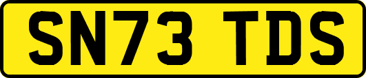 SN73TDS