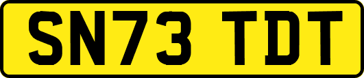 SN73TDT