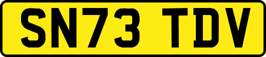 SN73TDV
