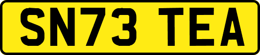 SN73TEA