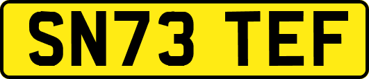SN73TEF