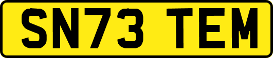 SN73TEM