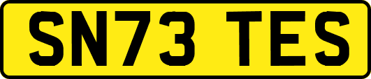 SN73TES