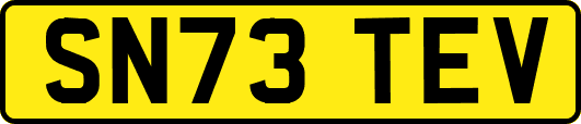 SN73TEV