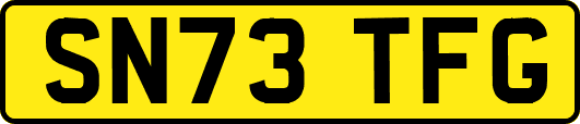 SN73TFG
