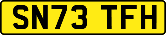 SN73TFH