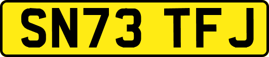 SN73TFJ