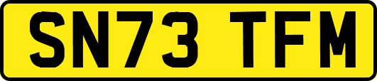 SN73TFM