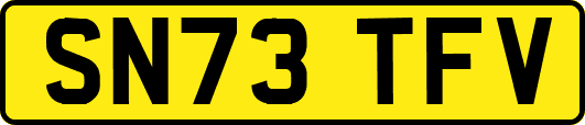 SN73TFV