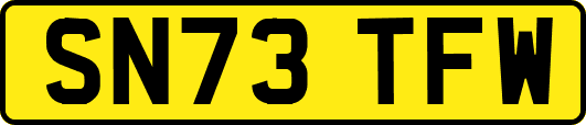 SN73TFW