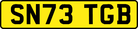 SN73TGB