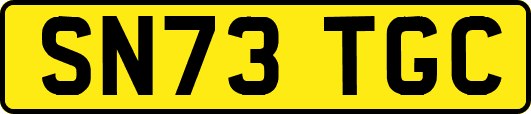 SN73TGC
