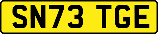 SN73TGE