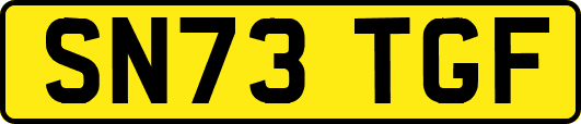SN73TGF