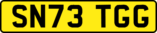 SN73TGG