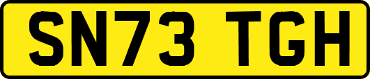 SN73TGH