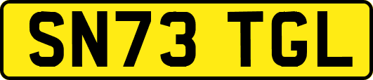 SN73TGL