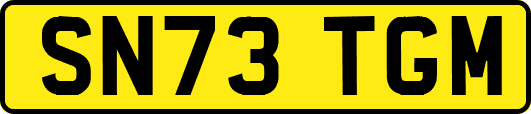 SN73TGM