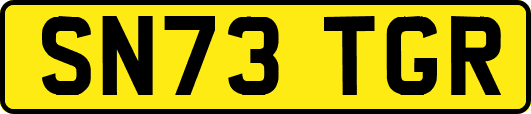 SN73TGR