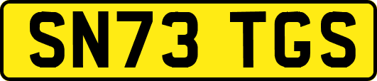 SN73TGS