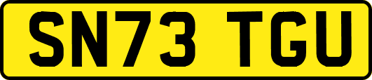 SN73TGU
