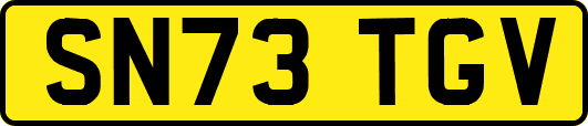 SN73TGV