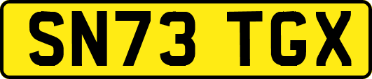 SN73TGX