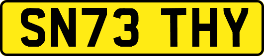 SN73THY