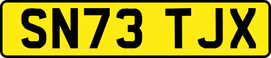 SN73TJX