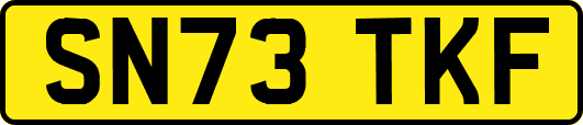 SN73TKF