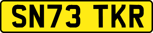 SN73TKR