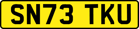 SN73TKU