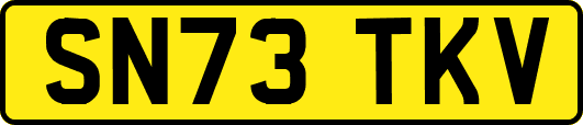 SN73TKV