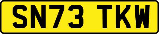 SN73TKW