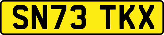 SN73TKX