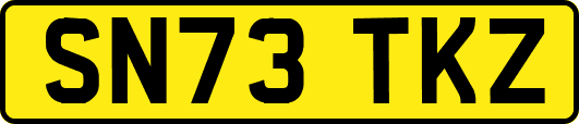SN73TKZ