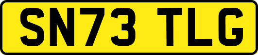 SN73TLG