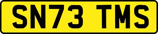 SN73TMS
