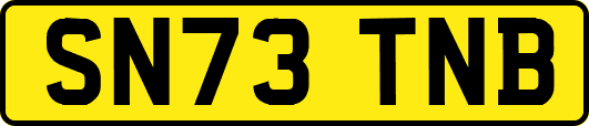 SN73TNB