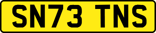SN73TNS