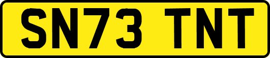 SN73TNT