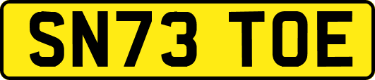 SN73TOE