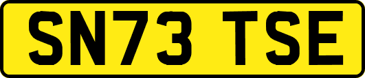 SN73TSE