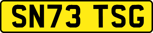 SN73TSG