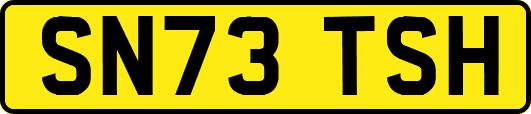 SN73TSH