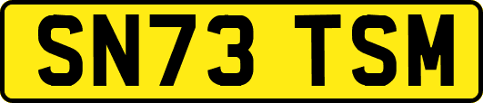 SN73TSM