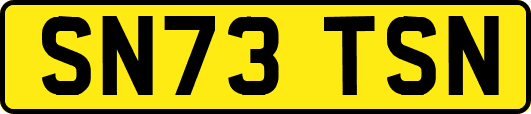 SN73TSN